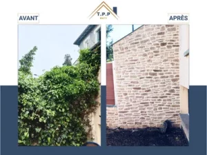 Travaux de remplacement lierre par muret en pierre à Paris 12_82