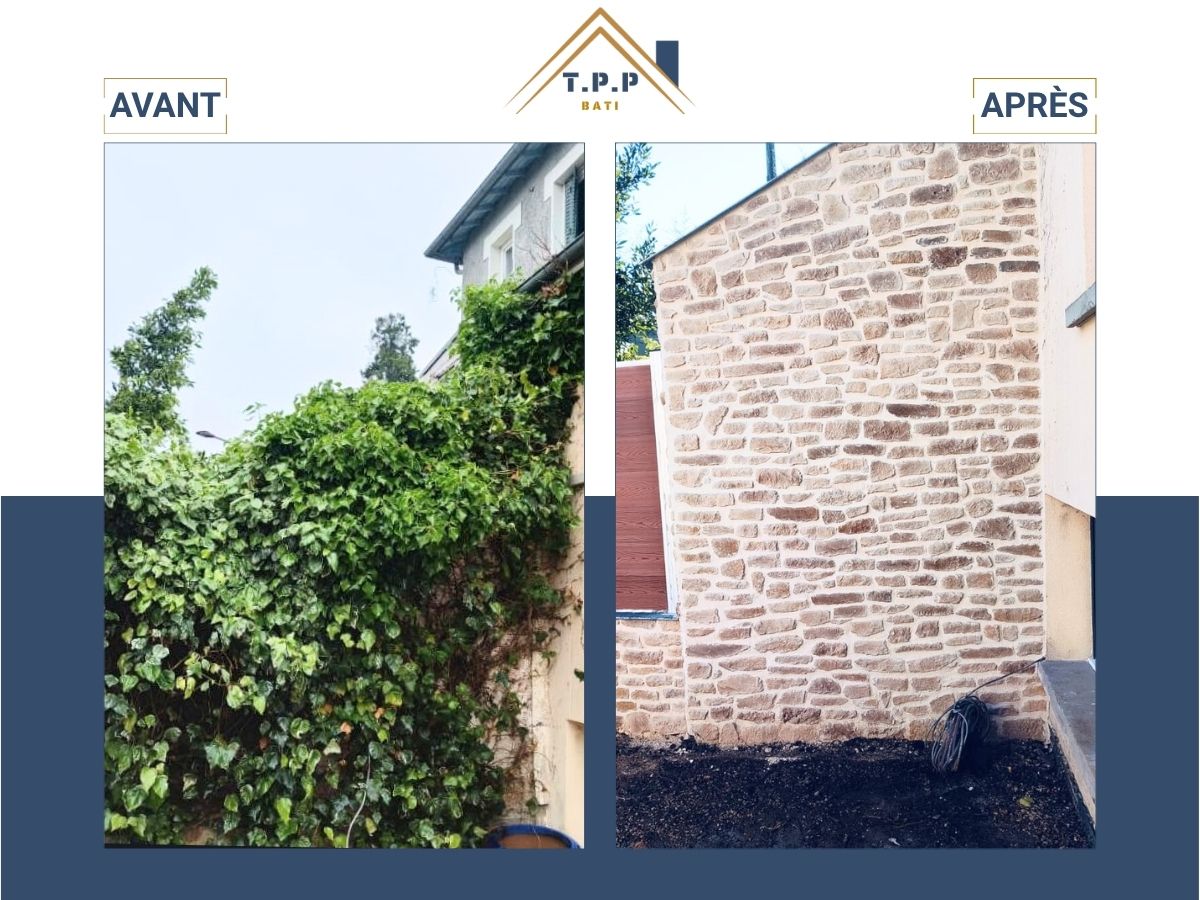 Avant après travaux remplacement lierre par muret en pierre à Paris 12ème par T.P.P Bati, entreprise tous corps d'état Val-de-Marne 94